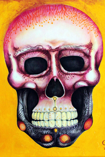A SKull