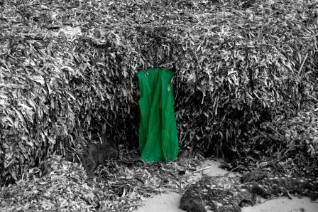 contrastes 1 contrastes 1
