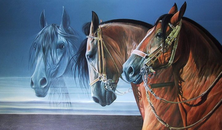 Horses