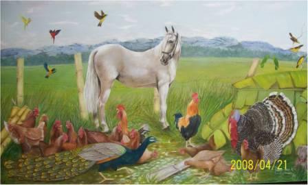 mi valle del cauca mi valle del cauca