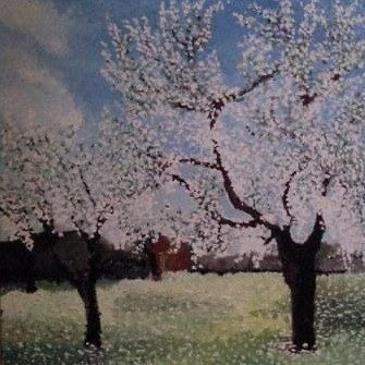 Almendros en flor
