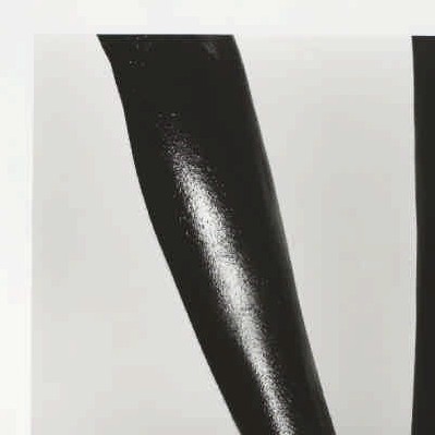 ANIMAL I