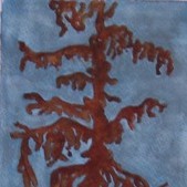 arbol