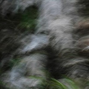 bosque encantado 4