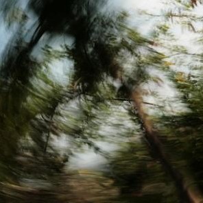 bosque encantado 5