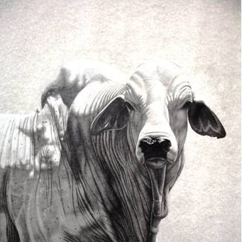 Brahman