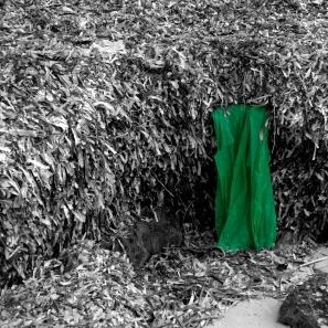 contrastes 1