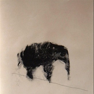 elefante