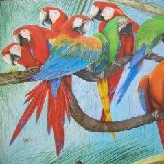 guacamayos