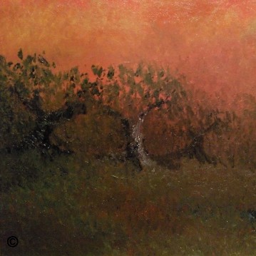 bailando entre olivos