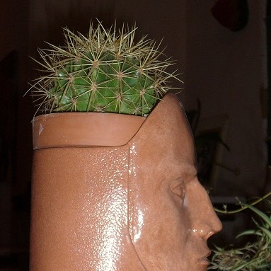 Maceta con rostro