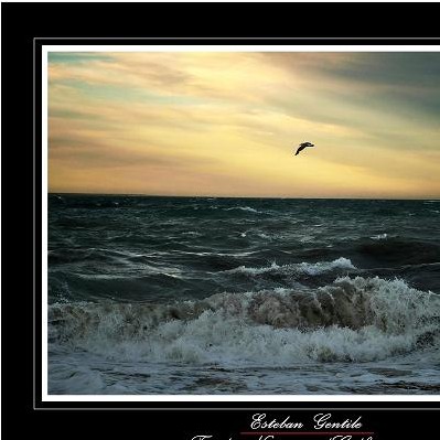Norte en el golfo