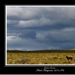 Patagonia