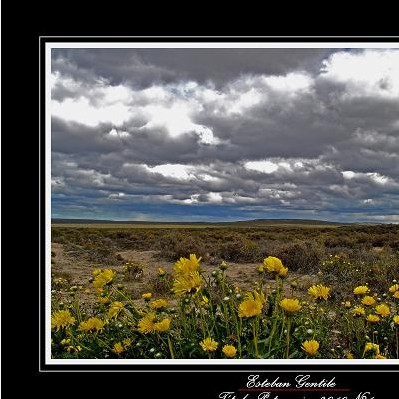 Patagonia