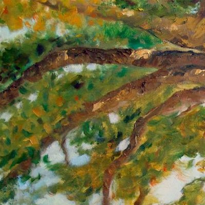Arbol
