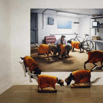 Residencia canina V