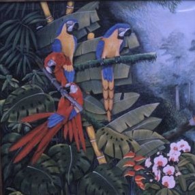 selva 2