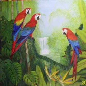 selva3