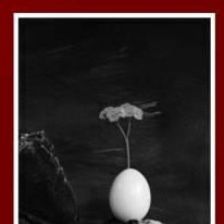 Serie Huevos. Foto. Comunión