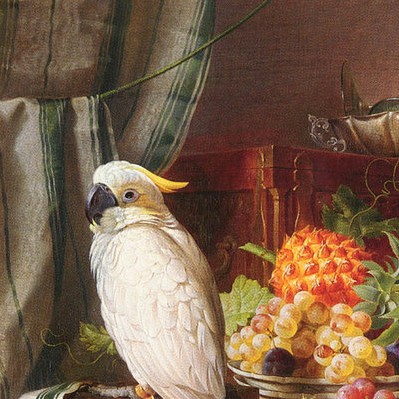 Still life